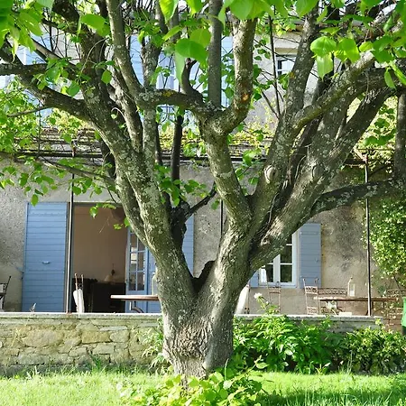 Le Mas En Provence